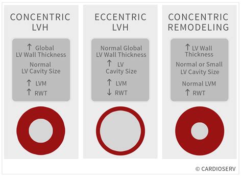 concentric lvh means